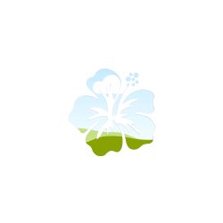 Frame Canva fleur hibiscus